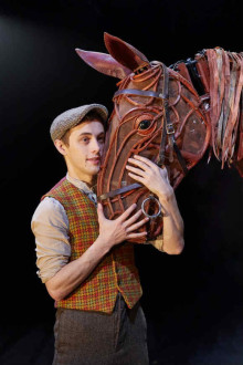 War Horse