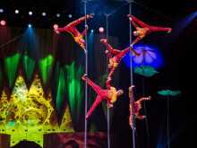 OVO - Cirque du Soleil