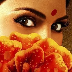Monsoon Wedding Monsoon Wedding